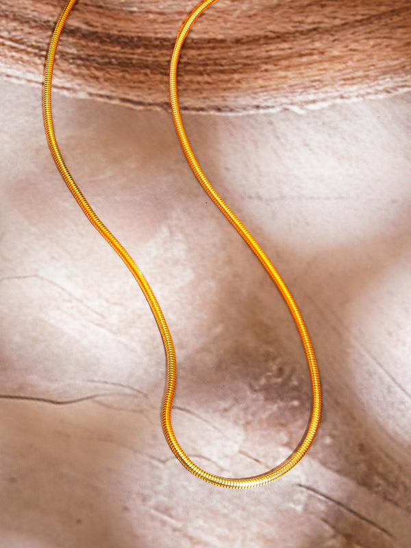 Classic Snake Chain Necklace