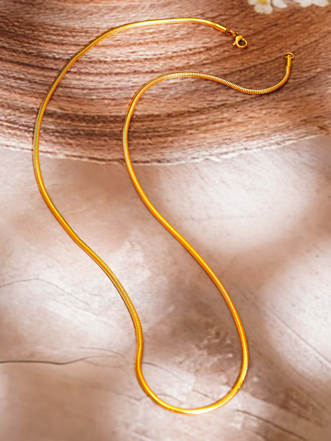 Classic Snake Chain Necklace